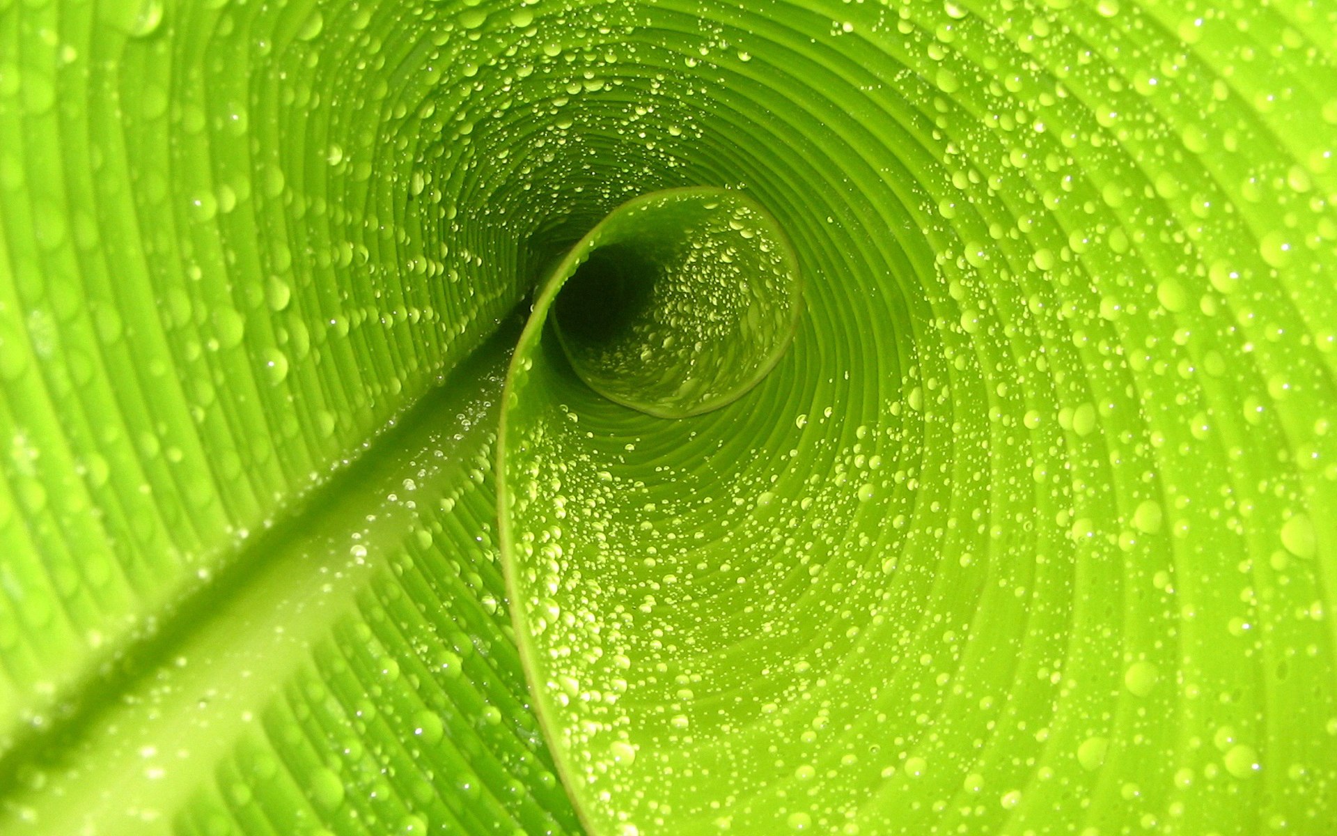 世界举重青年联赛：选手挑战更高重量成功，世界级举重比赛